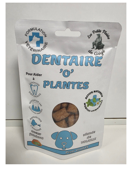DENTAIRE 'O' PLANTES