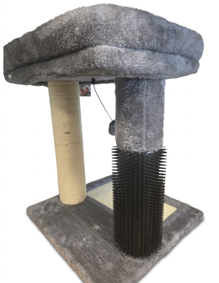 ARBRE A CHAT GRANDE ASSISE  - ANTHRACITE