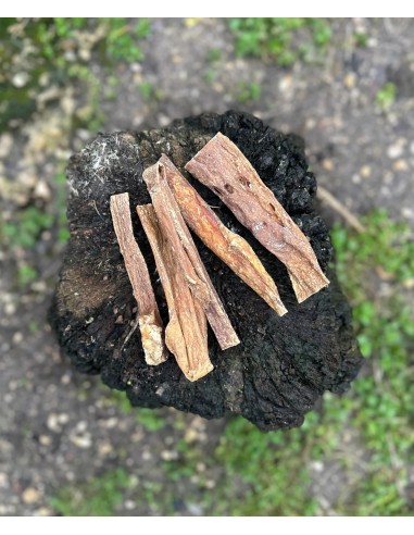 sticks mamelle de vache environ 15 cm