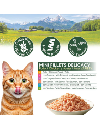 Filets de poulet en conserve (4boites de chacune des 6 recettes) - Assortiment varié Arquivet