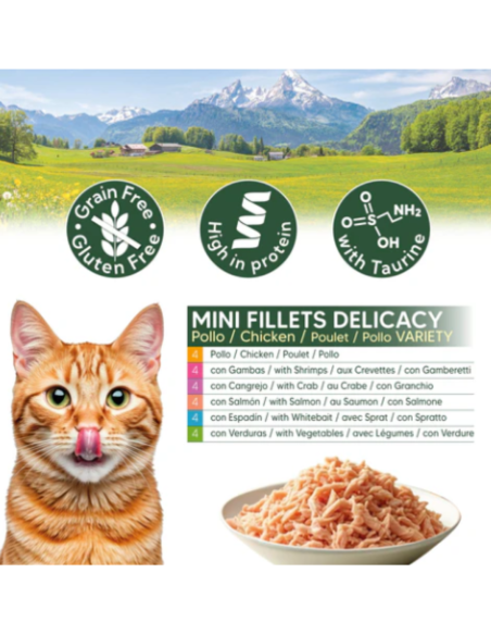 Filets de poulet en conserve (4boites de chacune des 6 recettes) - Assortiment varié Arquivet