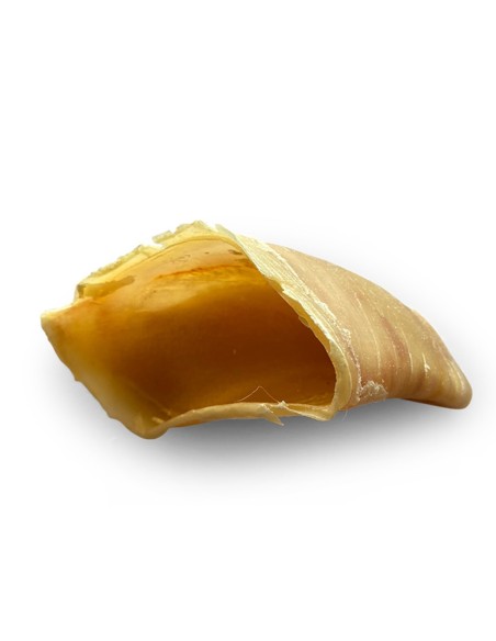 Sabot de veau à macher - friandise naturelle pour chien vendue en sachet de 25pièces