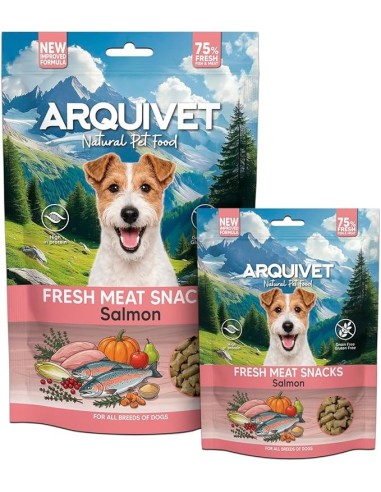 fresh meat snacks saumon
