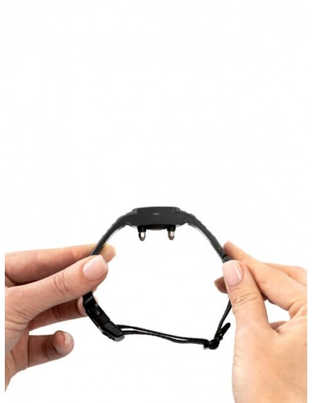 Collier anti-aboiement Nano Bark