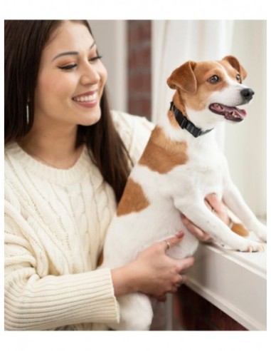 Collier anti-aboiement Nano Bark