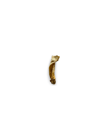 oreille de boeuf avec noyau
