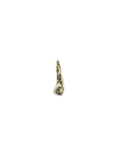 oreille de lapin avec poils