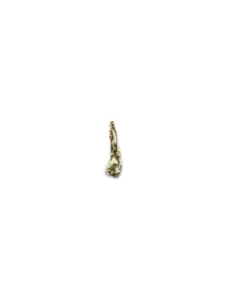 oreille de lapin avec poils