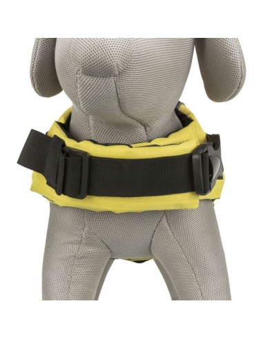 Gilet de flottaison pour chien