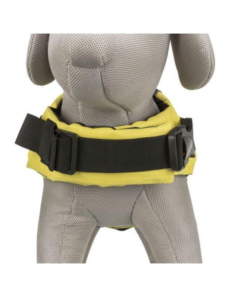 Gilet de flottaison pour chien