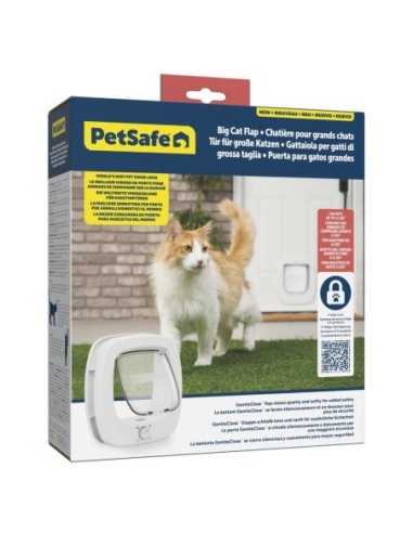 Chatière Porte Petsafe Big Cat 2.0 pour gros chat avec Système de Verrouillage à 4 positions