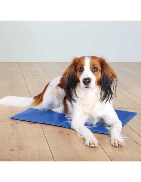 Matelas / tapis rafraîchissant Trixie BLEU / GRIS