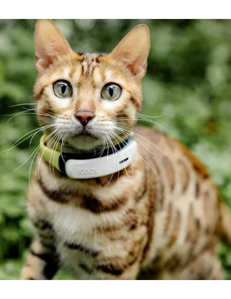 GPS Kippy pour chat