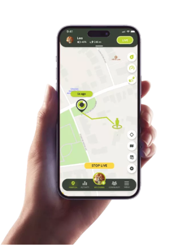GPS Kippy pour chat