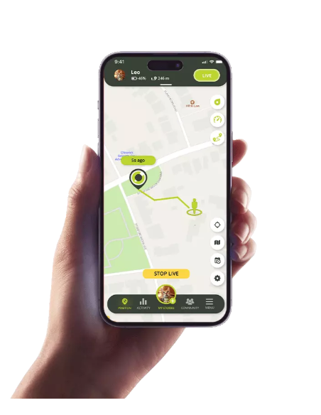 GPS Kippy pour chat