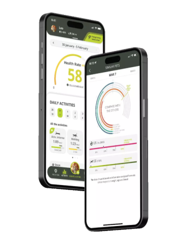 GPS Kippy pour chat
