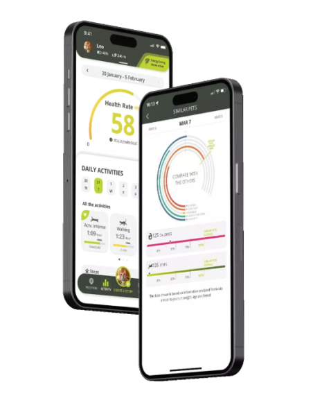 GPS Kippy pour chat