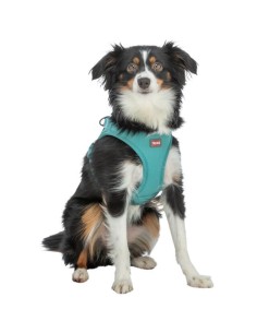 Premium UrbanVest – Harnais pour chien aqua 2