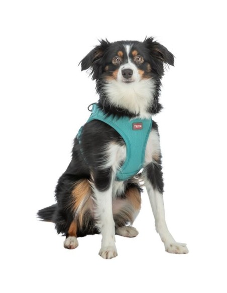 Premium UrbanVest – Harnais pour chien aqua