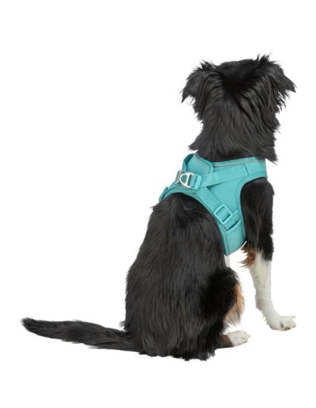 Premium UrbanVest – Harnais pour chien aqua