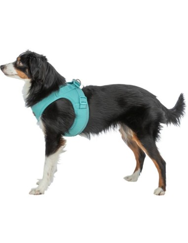 Premium UrbanVest – Harnais pour chien aqua