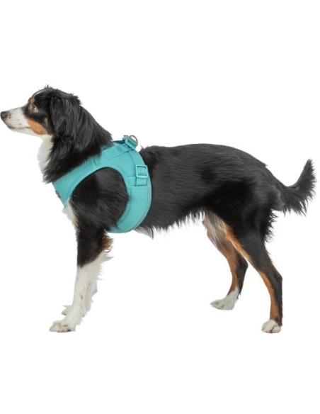 Premium UrbanVest – Harnais pour chien aqua