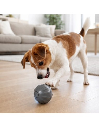 balle interactive chien 5.3cm