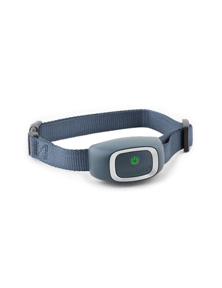 Collier anti-aboiement à stimulations - à pile -  PetSafe