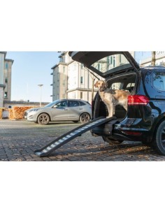Rampe pliable en plastique/TPR 2