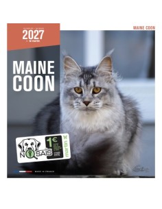 Calendrier chat 2027 - maine coon Chats - Martin