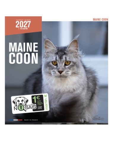 Calendrier chat 2027 - maine coon Chats - Martin