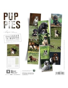 Calendrier chien 2027 - puppy - Martin 2