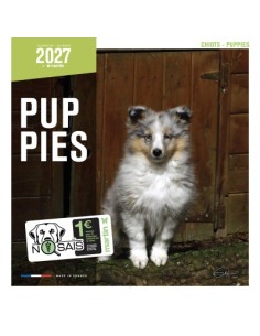 Calendrier chien 2027 - puppy - Martin