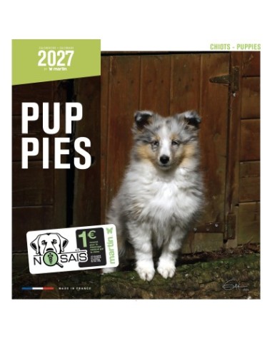 Calendrier chien 2027 - puppy - Martin