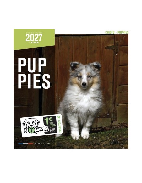 Calendrier chien 2027 - puppy - Martin