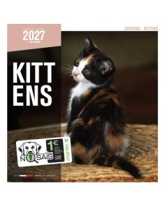 Calendrier 2027 - Chatons - Martin