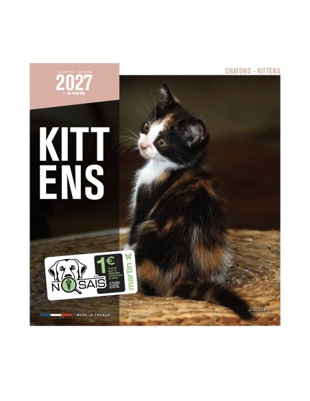 Calendrier 2027 - Chatons - Martin