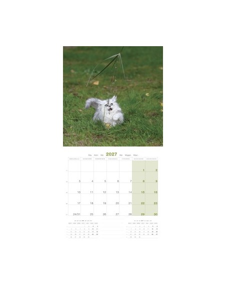 Calendrier 2027 - Chatons - Martin