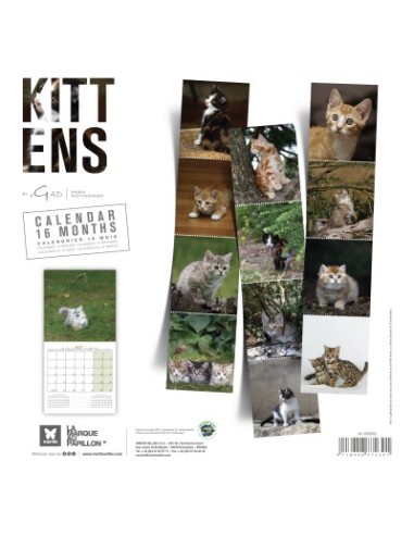 Calendrier 2027 - Chatons - Martin