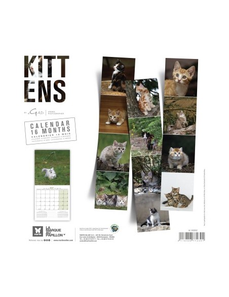 Calendrier 2027 - Chatons - Martin