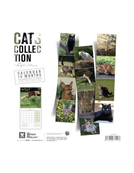 Calendrier chat 2027  - Martin