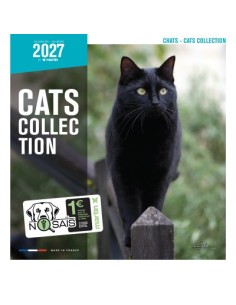 Calendrier chat 2027  - Martin