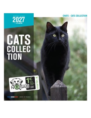 Calendrier chat 2027  - Martin