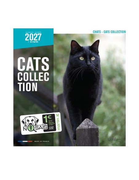 Calendrier chat 2027  - Martin