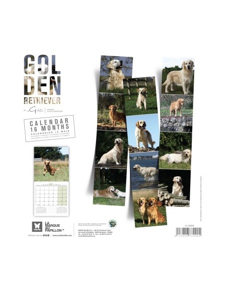 Calendrier chien 2027 - Golden Retriever - Martin