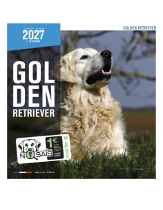 Calendrier chien 2027 - Golden Retriever - Martin
