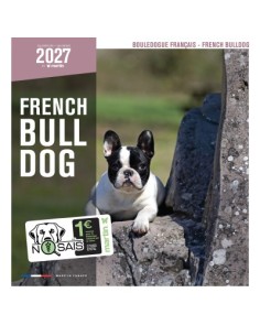 Calendrier chien 2027 - Bouledogue français - Martin