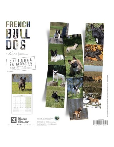 Calendrier chien 2027 - Bouledogue français - Martin