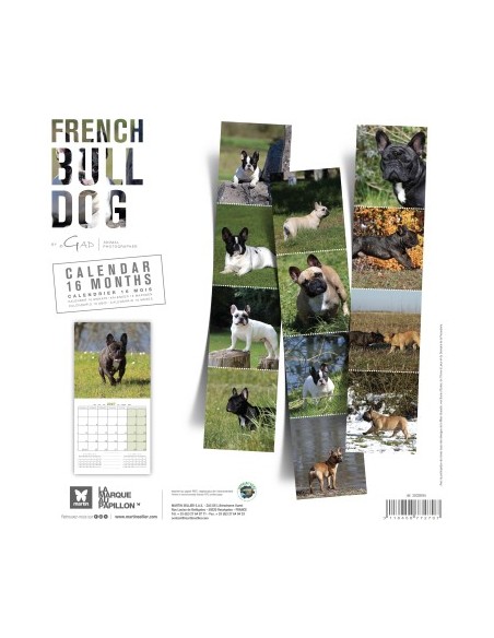 Calendrier chien 2027 - Bouledogue français - Martin
