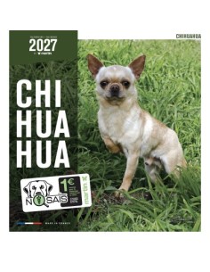 Calendrier chien 2027 - Chihuahua - Martin